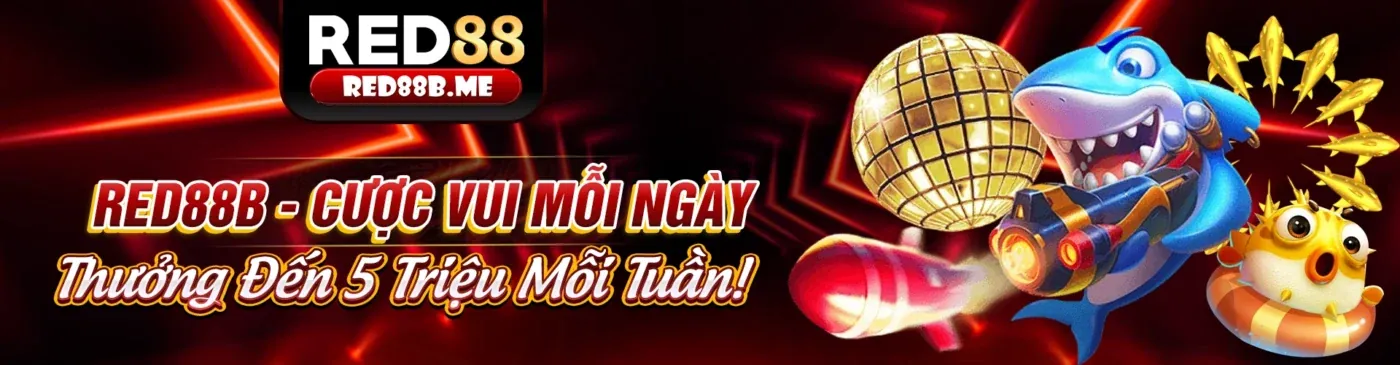 Đa dạng trò chơi cá cược 8s casino