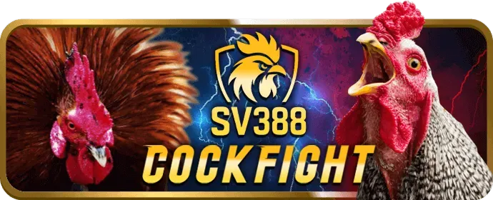 Chính sách quyền riêng tư của 8s casino